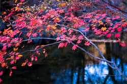 韩国电影善良的女人剧照